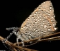bfa52593-2d43-47aa-8548